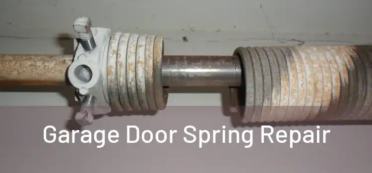  Garage Door Spring Repair 