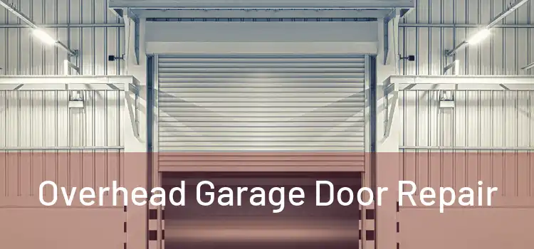  Overhead Garage Door Repair 